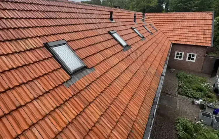Vrolijk Reinigen