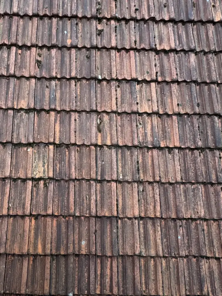 Dak na reiniging, schoon en vrij van aanslag