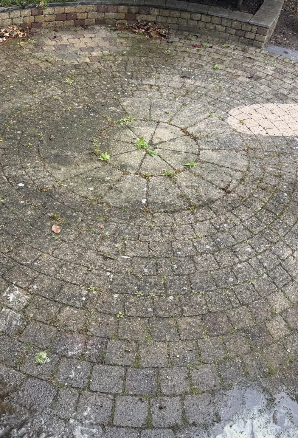 Terras na reiniging, schoon en vrij van aanslag