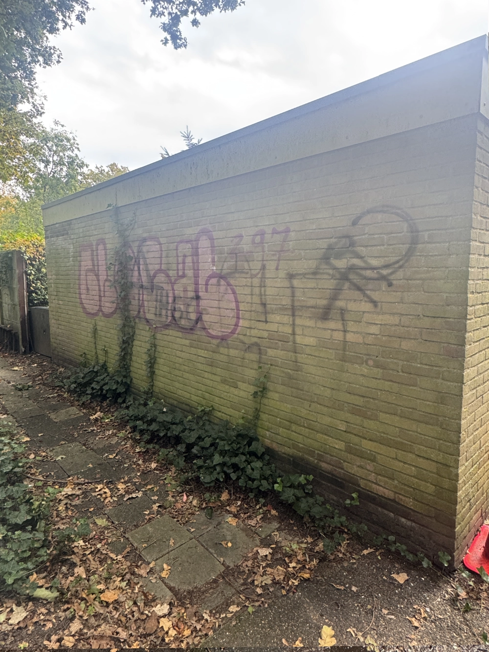 Graffiti voor reiniging