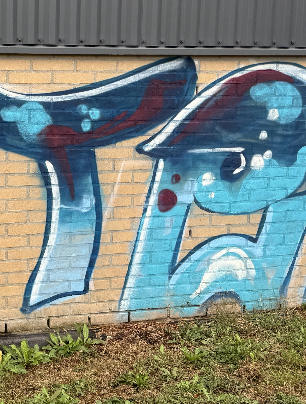 Graffiti voor reiniging